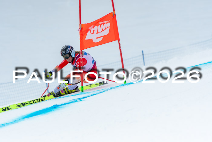 NC DH Training Damen + Herren Axamer Lizum 24.03.2026