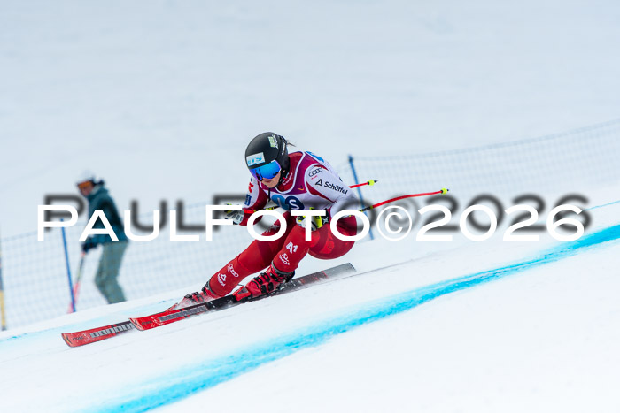 NC DH Training Damen + Herren Axamer Lizum 24.03.2026