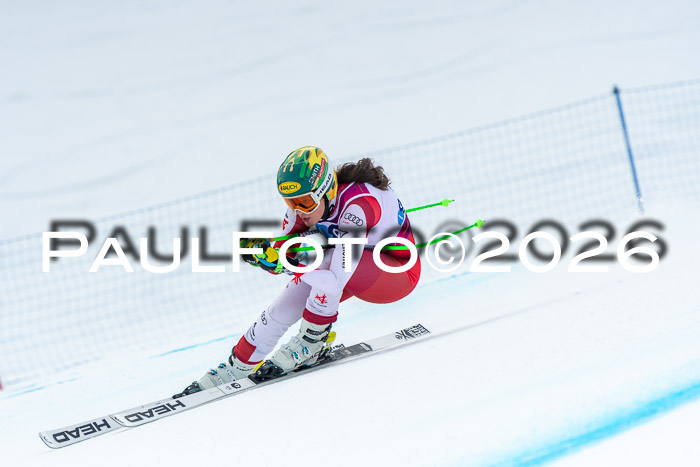 NC DH Training Damen + Herren Axamer Lizum 24.03.2026