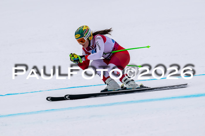 NC DH Training Damen + Herren Axamer Lizum 24.03.2026