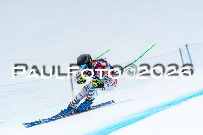 NC DH Training Damen + Herren Axamer Lizum 24.03.2026