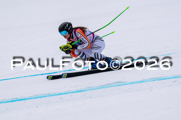 NC DH Training Damen + Herren Axamer Lizum 24.03.2026