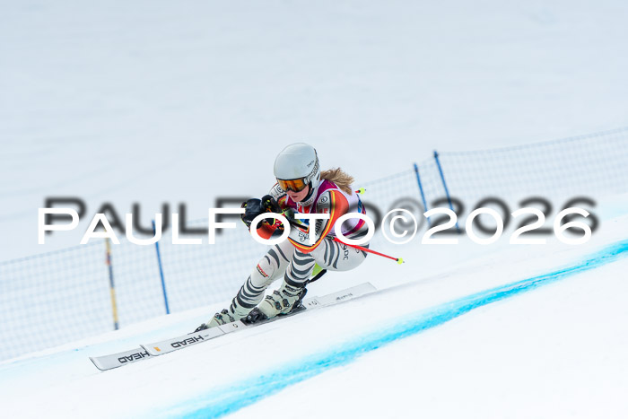 NC DH Training Damen + Herren Axamer Lizum 24.03.2026