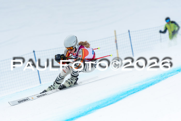 NC DH Training Damen + Herren Axamer Lizum 24.03.2026