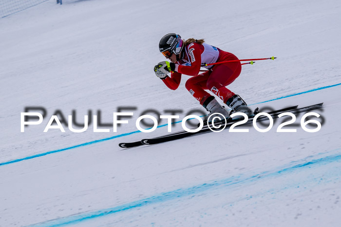 NC DH Training Damen + Herren Axamer Lizum 24.03.2026