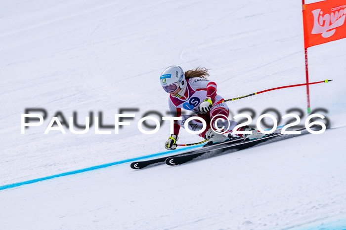 NC DH Training Damen + Herren Axamer Lizum 24.03.2026