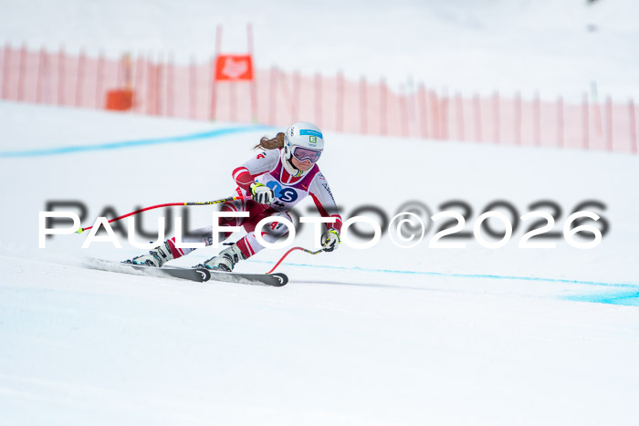 NC DH Training Damen + Herren Axamer Lizum 24.03.2026