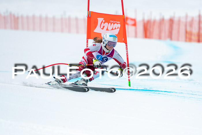 NC DH Training Damen + Herren Axamer Lizum 24.03.2026