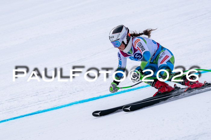 NC DH Training Damen + Herren Axamer Lizum 24.03.2026