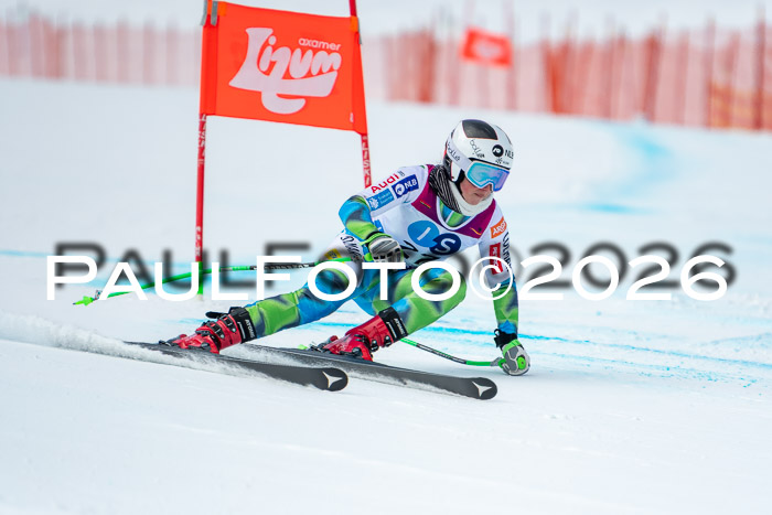 NC DH Training Damen + Herren Axamer Lizum 24.03.2026