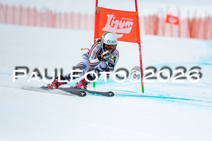 NC DH Training Damen + Herren Axamer Lizum 24.03.2026