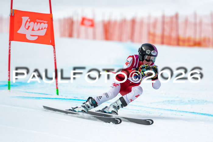 NC DH Training Damen + Herren Axamer Lizum 24.03.2026