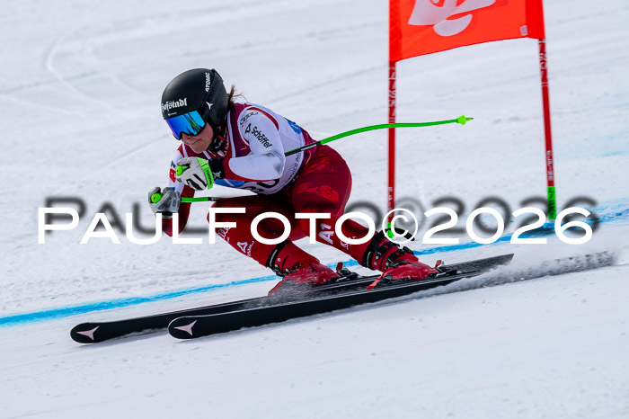 NC DH Training Damen + Herren Axamer Lizum 24.03.2026