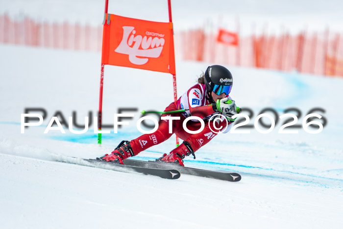 NC DH Training Damen + Herren Axamer Lizum 24.03.2026