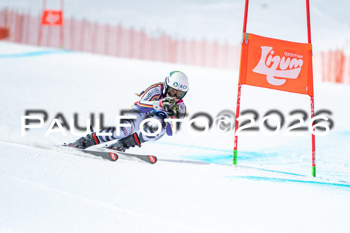 NC DH Training Damen + Herren Axamer Lizum 24.03.2026