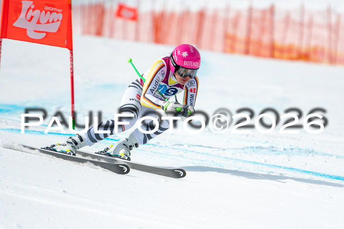 NC DH Training Damen + Herren Axamer Lizum 24.03.2026