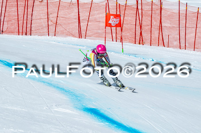 NC DH Training Damen + Herren Axamer Lizum 24.03.2026