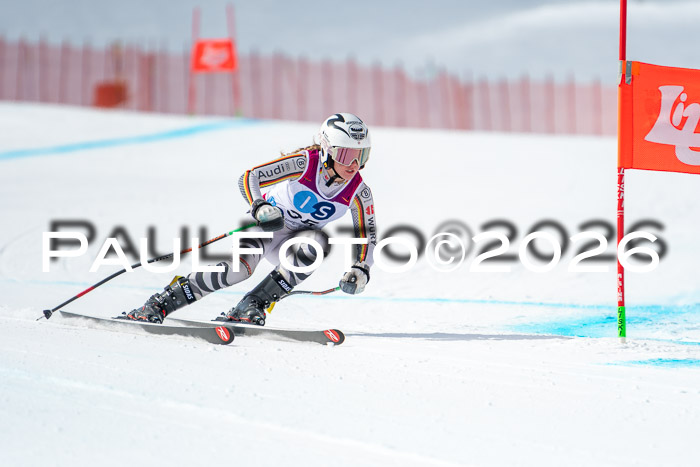 NC DH Training Damen + Herren Axamer Lizum 24.03.2026