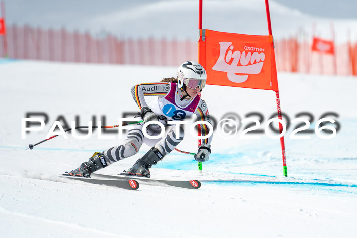 NC DH Training Damen + Herren Axamer Lizum 24.03.2026