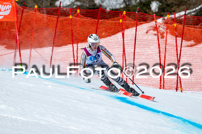 NC DH Training Damen + Herren Axamer Lizum 24.03.2026