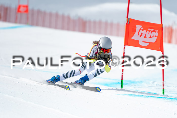 NC DH Training Damen + Herren Axamer Lizum 24.03.2026