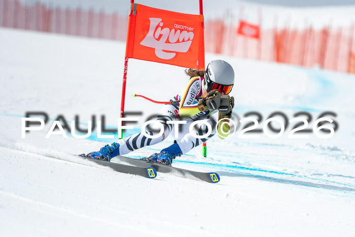 NC DH Training Damen + Herren Axamer Lizum 24.03.2026