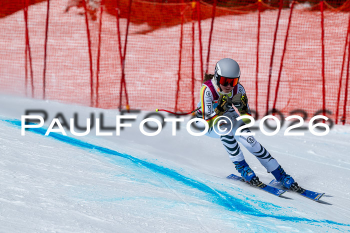 NC DH Training Damen + Herren Axamer Lizum 24.03.2026