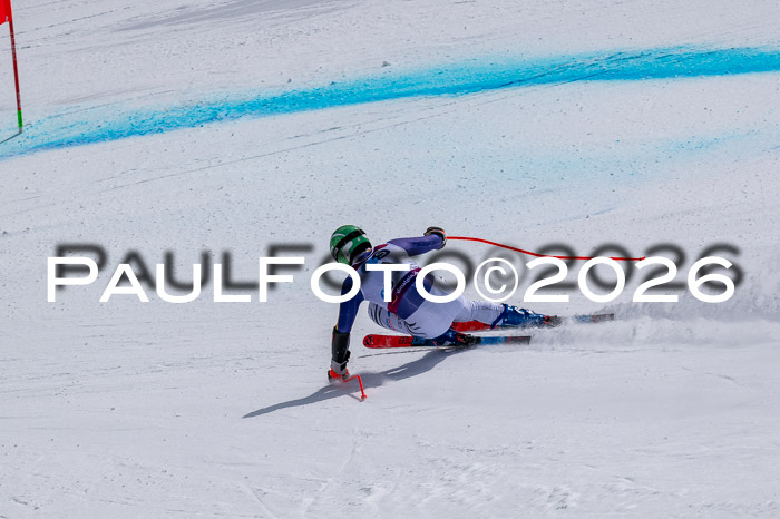 NC DH Training Damen + Herren Axamer Lizum 24.03.2026