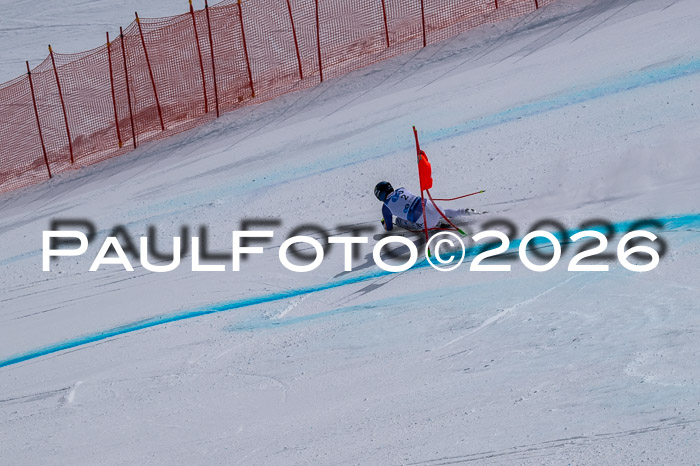 NC DH Training Damen + Herren Axamer Lizum 24.03.2026