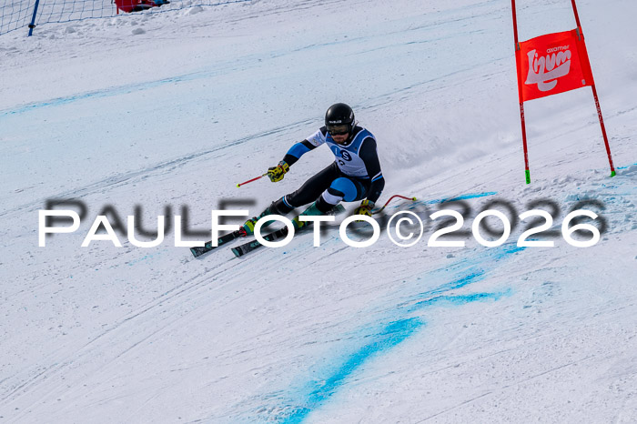 NC DH Training Damen + Herren Axamer Lizum 24.03.2026