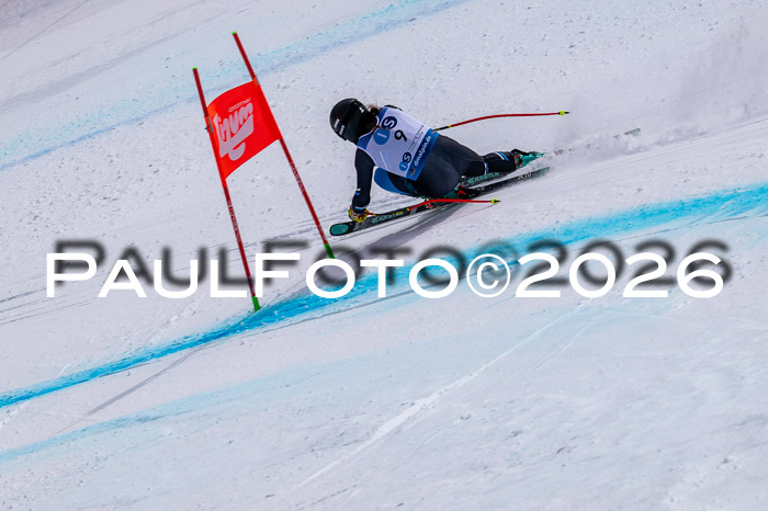 NC DH Training Damen + Herren Axamer Lizum 24.03.2026