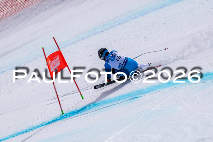 NC DH Training Damen + Herren Axamer Lizum 24.03.2026