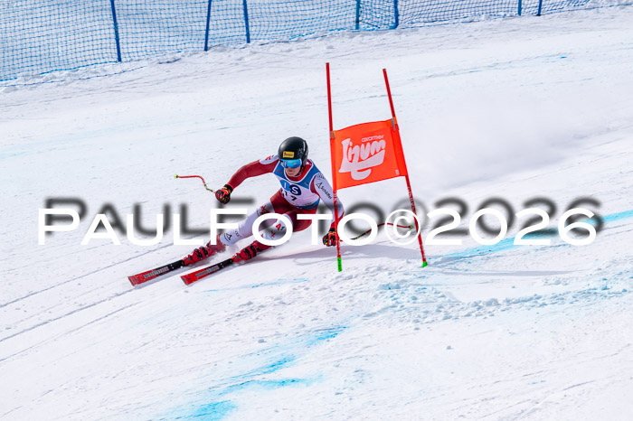 NC DH Training Damen + Herren Axamer Lizum 24.03.2026