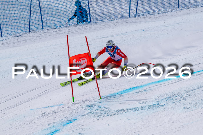 NC DH Training Damen + Herren Axamer Lizum 24.03.2026