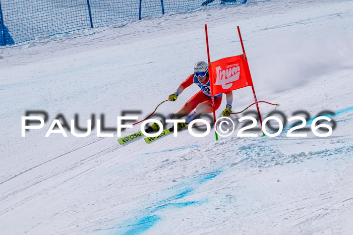 NC DH Training Damen + Herren Axamer Lizum 24.03.2026