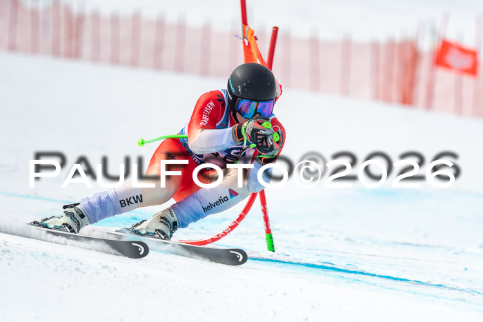 NC DH Training Damen + Herren Axamer Lizum 24.03.2026