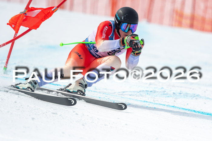 NC DH Training Damen + Herren Axamer Lizum 24.03.2026