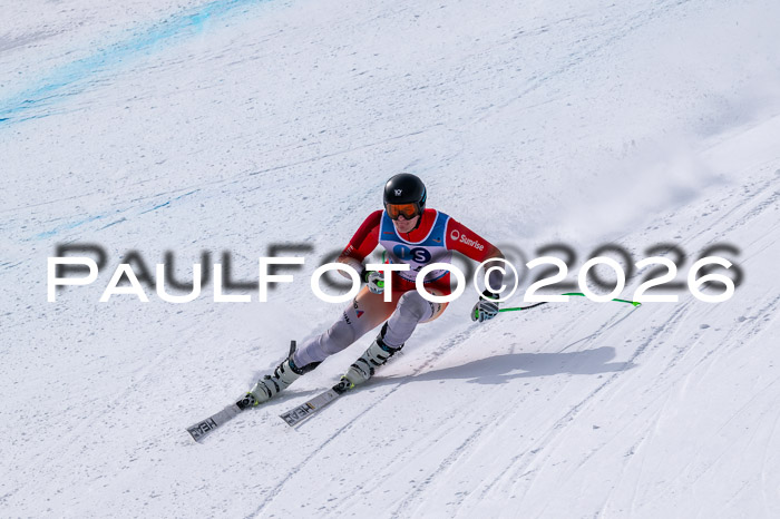 NC DH Training Damen + Herren Axamer Lizum 24.03.2026