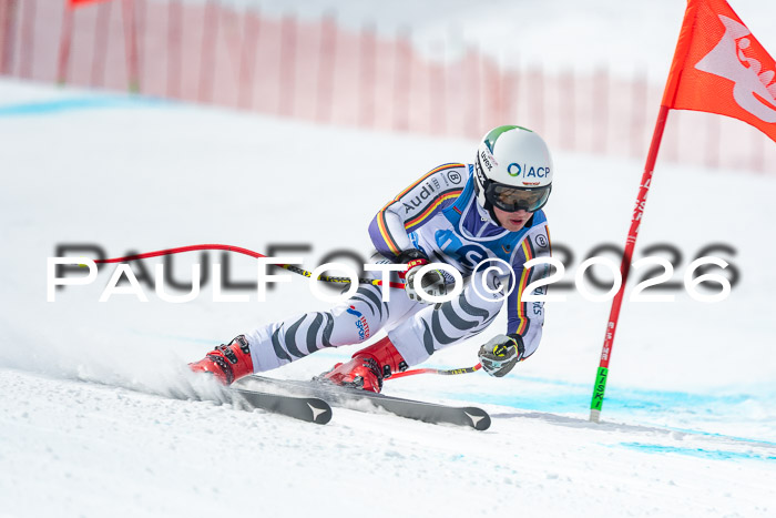 NC DH Training Damen + Herren Axamer Lizum 24.03.2026