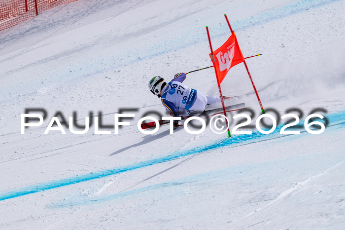 NC DH Training Damen + Herren Axamer Lizum 24.03.2026