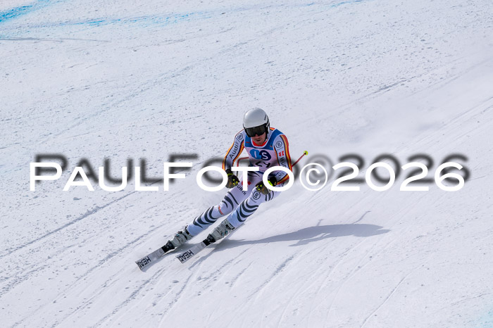 NC DH Training Damen + Herren Axamer Lizum 24.03.2026