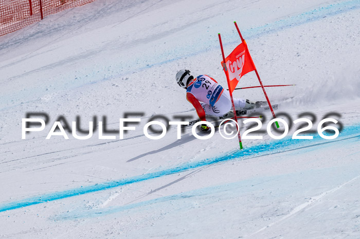 NC DH Training Damen + Herren Axamer Lizum 24.03.2026