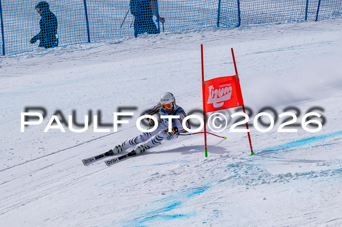 NC DH Training Damen + Herren Axamer Lizum 24.03.2026