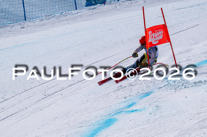 NC DH Training Damen + Herren Axamer Lizum 24.03.2026