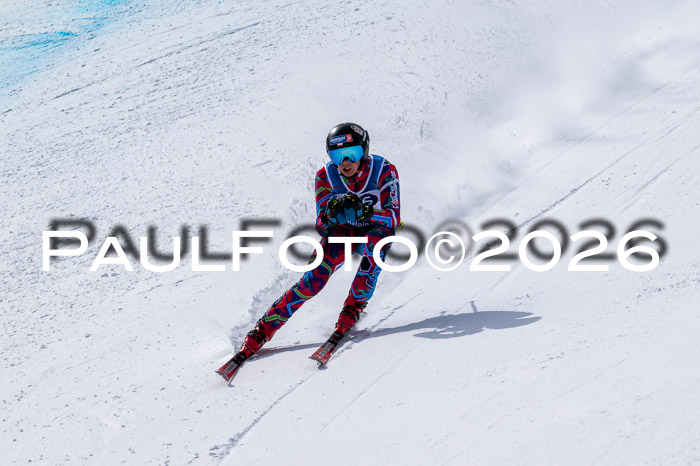 NC DH Training Damen + Herren Axamer Lizum 24.03.2026