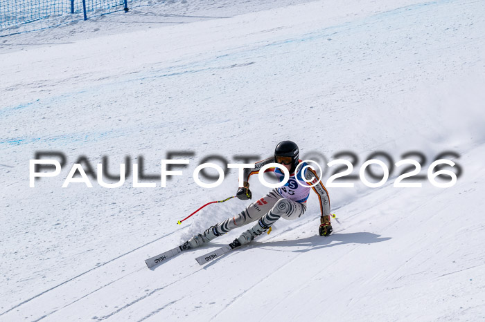 NC DH Training Damen + Herren Axamer Lizum 24.03.2026