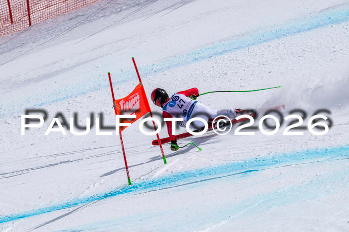 NC DH Training Damen + Herren Axamer Lizum 24.03.2026