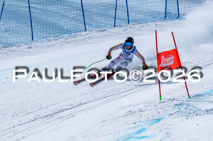 NC DH Training Damen + Herren Axamer Lizum 24.03.2026