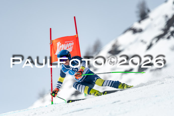 NC DH Training Damen + Herren Axamer Lizum 24.03.2026