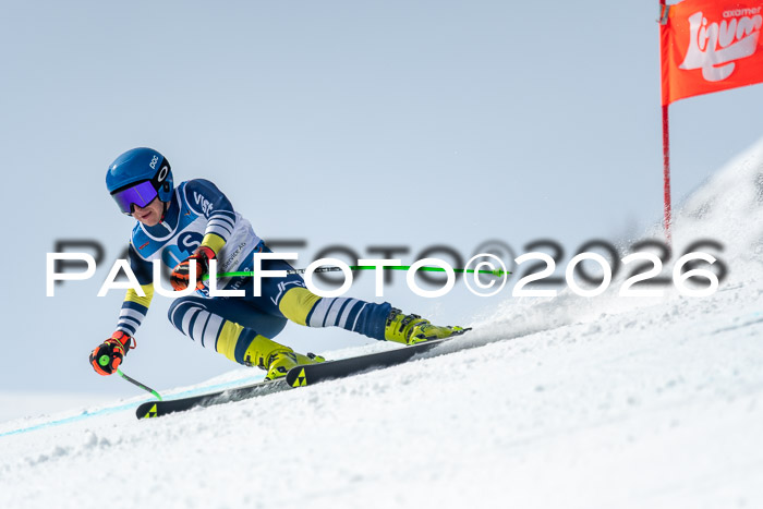 NC DH Training Damen + Herren Axamer Lizum 24.03.2026